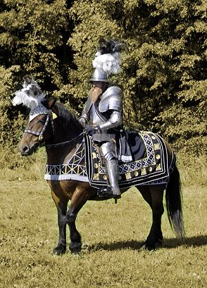 45 - Moritz von Sachsen