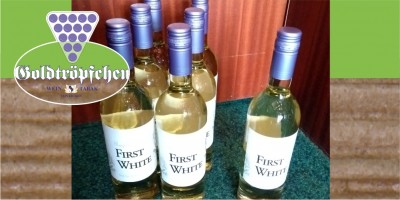 FIRST WHITE 2019 der erste Wein des neuen Jahrgangs